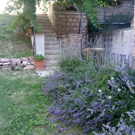 Eden House Lägenhet