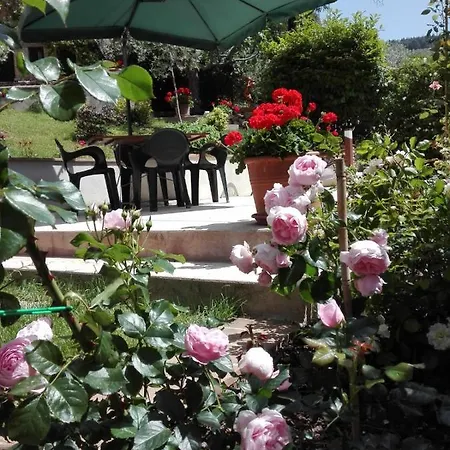 Lägenhet Eden House Assisi