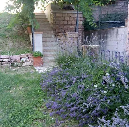 Eden House Apartmán